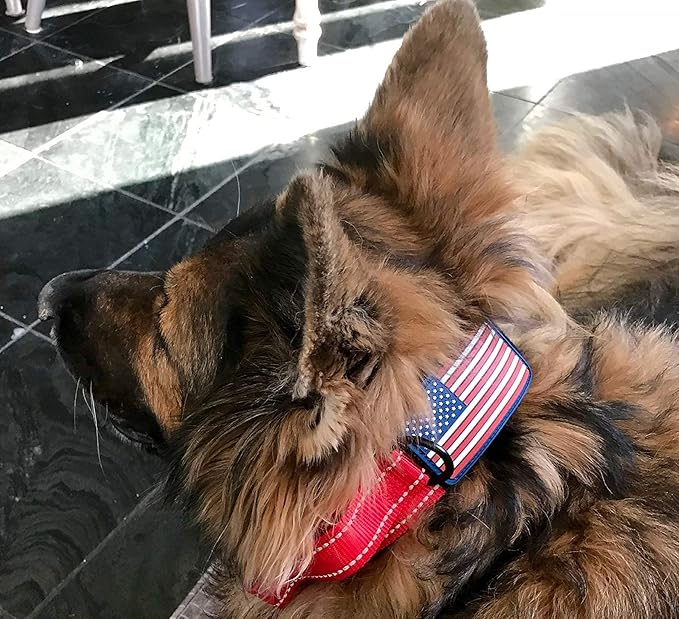2-Inch Wide Tactical Dog Collar with Control Handle, Adjustable for Medium & Large Dogs, Military Style with Heavy-Duty Metal Buckle, USA Flag Patch & Customizable Name Plate, Training & Everyday Use