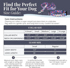 Lucky Love Dog - Adjustable Dog Collar and Leash Set with Easy Click Buckle for Small Dogs, Durable, & Comfortable Collar for Male & Female Dogs, Puppies & Adult Dogs - Zuzu, XS