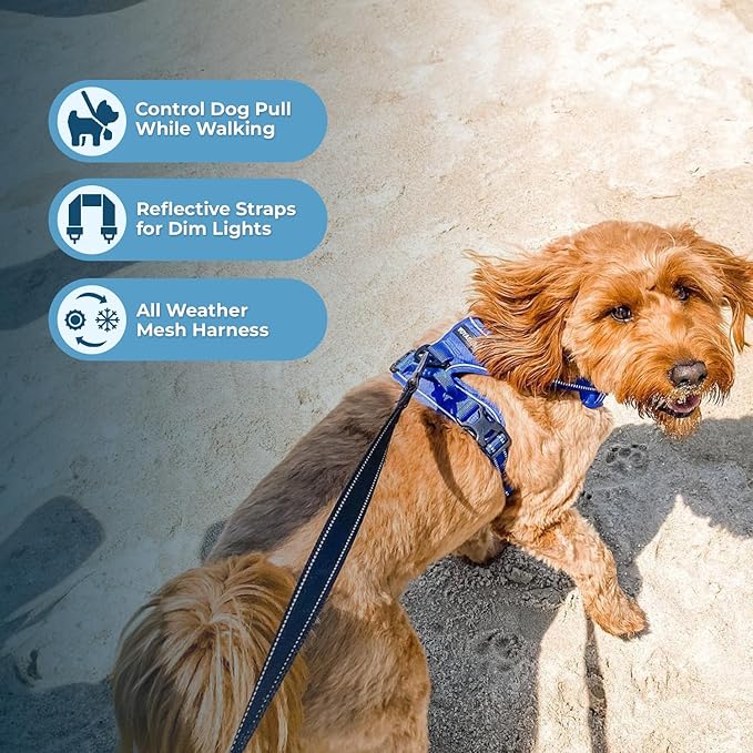 Voyager Dog Harness Dual Leash Attachment No-Pull Control Adjustable Soft but Strong Pet Harness for Medium and Large Dogs with 3M Reflective Technology, Royal Blue Lattice Nylon, M (Chest: 20-25")