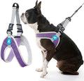 Gooby Simple Step in III Harness - Purple, Medium - Small Dog Harness with Scratch Resistant Outer Vest - Soft Inner Mesh Harness for Small, Medium Dogs