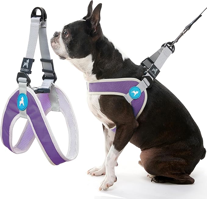Gooby Simple Step in III Harness - Purple, Large - Small Dog Harness with Scratch Resistant Outer Vest - Soft Inner Mesh Harness for Small, Medium Dogs