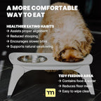 MalsiPree Elevated Dog Bowls - Puppy Adoption Gifts & Cute Puppy Accessories - Raised Feeding Station & Stainless Steel Bowls - Food and Bowls Set - Dog Birthday Gifts for Small Pets - White