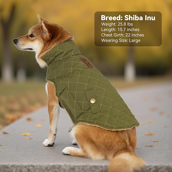 Dog Winter Coat, Waterproof Warm Dog Jackets for Large Dogs Boy, Adjustable Pet Vest Windproof Cold Weather Clothes Dogs Snowsuit with Leash Hole, Green XX-Large