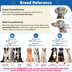 BARKLESS No Pull Dog Head Collar for Gentle Training Walking, Soft Padded Head Halter with Collar Safety Clip, Comfortable Fit Muzzle Leash with Reflective Strap for Medium Large Dog (Blue, L)