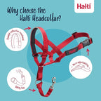 Halti Headcollar - Stop Your Dog Pulling on The Leash. Adjustable, Reflective and Lightweight, with Padded Nose Band. Dog Training Anti-Pull Collar for Medium Dogs (Size 2, Red)