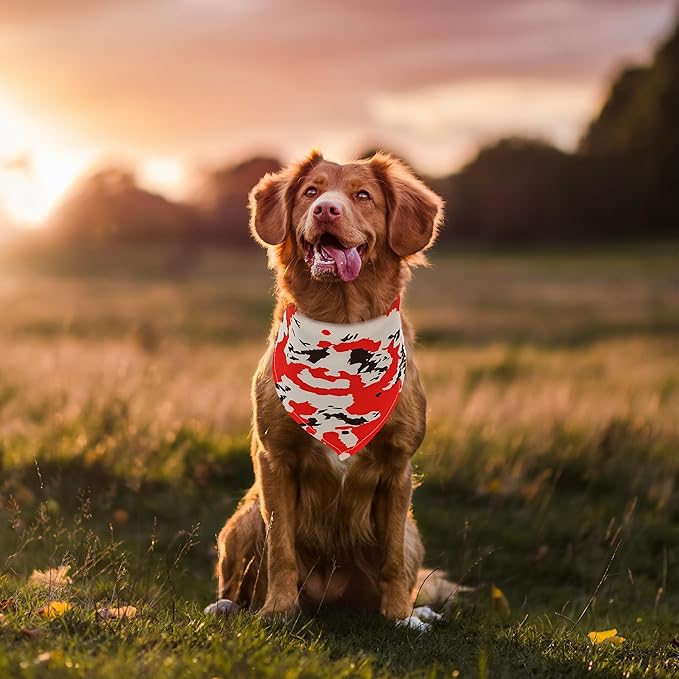 10PCS Dog Bandanas Tie Dye for Xs Small Breed Dog Bandanas Pack Kerchief Washable Triangle Bibs Head Scarves Scarfs for Boys and Girls Grooming Accessories Costume
