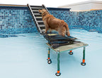 Adjustable 4-Leg Dog Pool Ramp - Quick Setup & Foldable Dog Ramp for Pool, 200lbs Capacity - Non-Slip Design for Enhanced Stability, Black