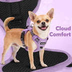 Funfox Dog Harness No Pull, Adjustable Pet Vest Harness, Super Soft Material with Vertical Handle Easy Control, Reflective Night Walking, 2 Leash Clips for Large Dogs, Purple, L