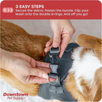 Downtown Pet Supply Step in Dog Harness for Small Dogs No Pull, X-Small, Titanium - Adjustable Harness with Padded Mesh Fabric and Reflective Trim - Buckle Strap Harness for Dogs