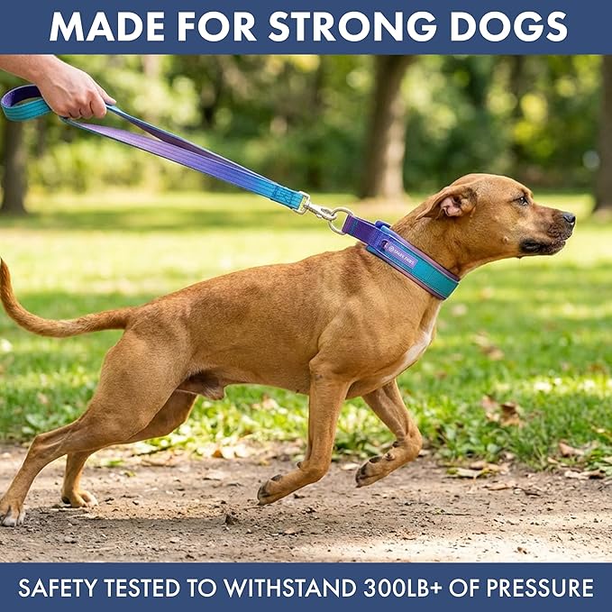 Spark Paws Martingale Dog Collar – Cushioned Slip-On Training Collar, Heavy Duty, Safety-Tested No-Buckle Collar for Medium & Large Dogs - 90s Retro - A