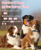 2-in-1 Bark Collar & Shock Collar for Dogs, 3300Ft Dog Training Collar with Remote 2 Pack - Anti Bark/Beep/Vibration/Shock 4 Modes, IP67 Smart Dog E Collar with 5 Adjustable Sensitivity for All Breeds
