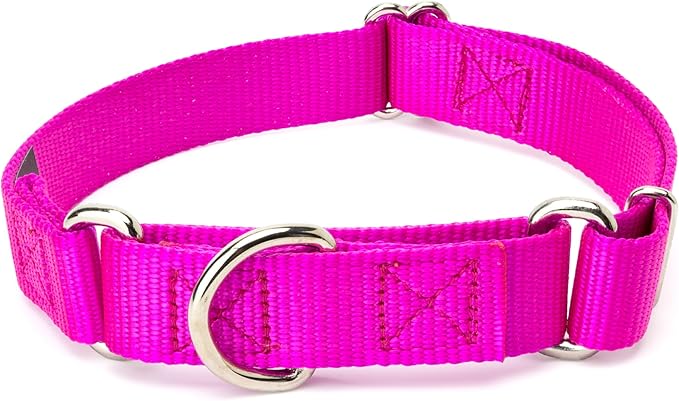 Country Brook Petz - Martingale Dog Collar - Heavy-Duty Training Collar with No Buckle - Service Dog Collar for All Pups - 10+ Cool Colors (Fuchsia, 3/4 Inch, Small)
