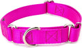 Country Brook Petz - Martingale Dog Collar - Heavy-Duty Training Collar with No Buckle - Service Dog Collar for All Pups - 10+ Cool Colors (Fuchshia, 5/8 Inch, Extra Small)