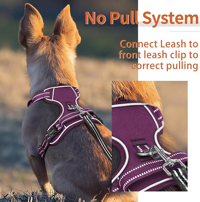 HEELE Dog Harness for Large Dogs No Pull Dog Vest Harness for Large Dog with Soft Padded Handle Reflective for Outdoor Training, Purple(Matching Trim), XL