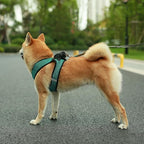 Best Pet Supplies - All Weather Mesh/Plush, Reflective, No Pull Harness for Small, Medium Dogs, Cats - Secure with Hook & Loop Fastener, Buckle, Double D-Rings - Turquoise 2-Tone, XS