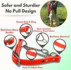 Martingale Collar for Dogs, Biothane, Stainless Steel Hardware, No Pull, Made in The USA, Professional Grade, XXS, Orange