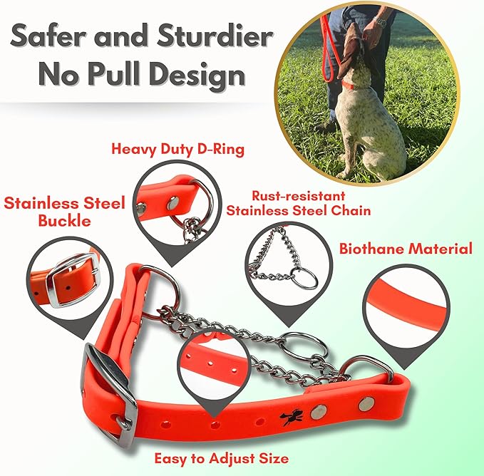 Martingale Collar for Dogs, Biothane, Stainless Steel Hardware, No Pull, Made in The USA, Professional Grade, XXS, Orange