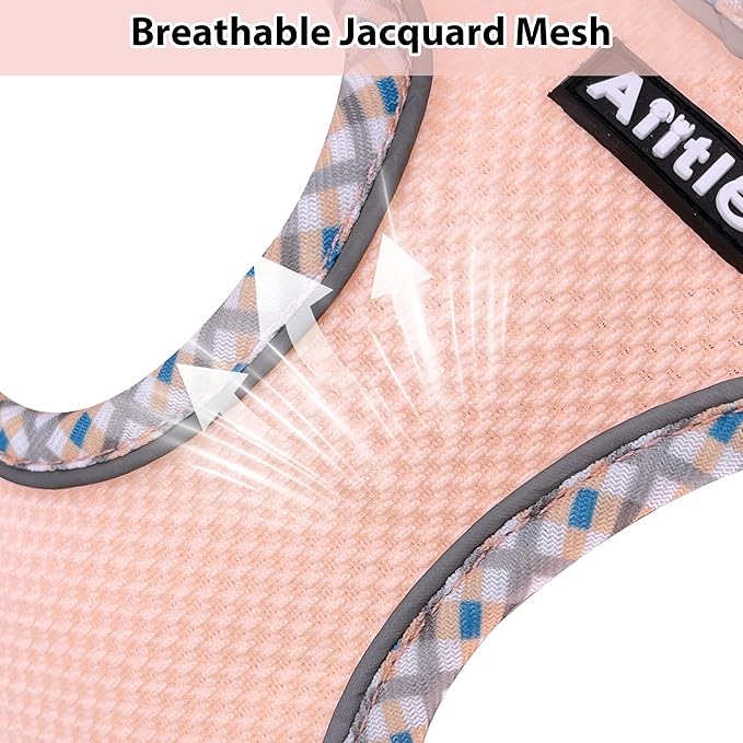 AIITLE Dog Harness and Leash Set - Ultra-Comfortable XXS-XL Vest with Strong Magic Tape & Glow-in-Dark Reflective Strips, Chafe-Free for Teddy, Schnauzer (Pink, M)