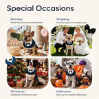 Supet Dog Tuxedo and Bandana Set with Bow Tie, Formal Outfit for Wedding Birthday Party Graduation Valentines, Pet Suit Clothes for Large Medium Small Dogs (Blue, S)
