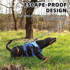 PUPTECK Escape Proof Dog Harness and Leash Set Upgraded No Pull Reflective Dog Vest with Lift Handle, Easy Control Pet Harness for Medium Large Dogs Training Walking Running, Blue, XL