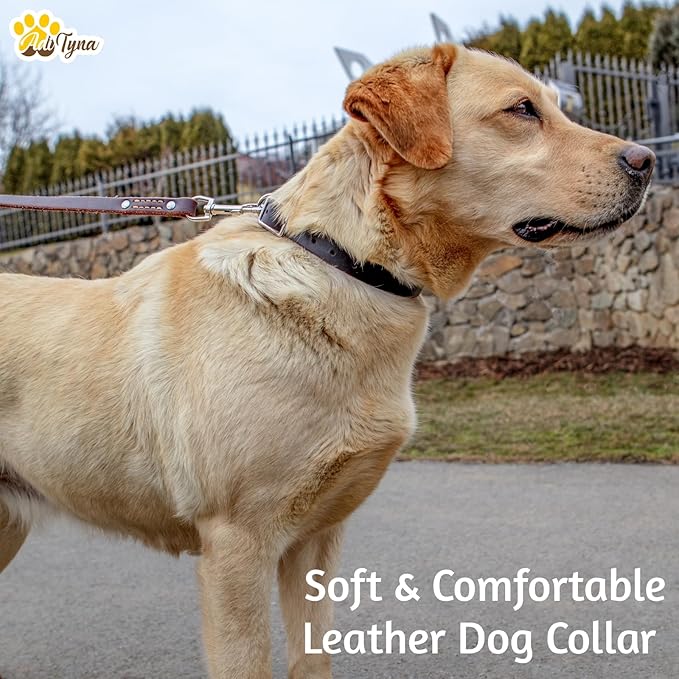 Adityna - Black Leather Dog Collar for Large Dogs - Classic Style, Soft and Strong, Heavy-Duty Top-Grain Leather Collar for Walking, Training, Hiking, and Running (L - Neck: 19-24 inches, Black)