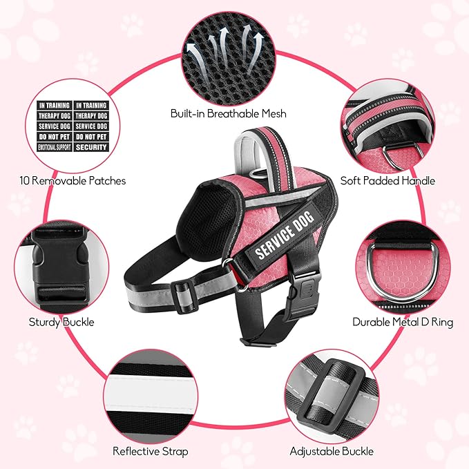 Service Dog Vest Harness and Leash Set, Animire in Training Dog Harness with 10 Dog Patches, Reflective Dog Leash with Soft Padded Handle for Small, Medium, Large, and Extra-Large Dogs (Rosy,XL)