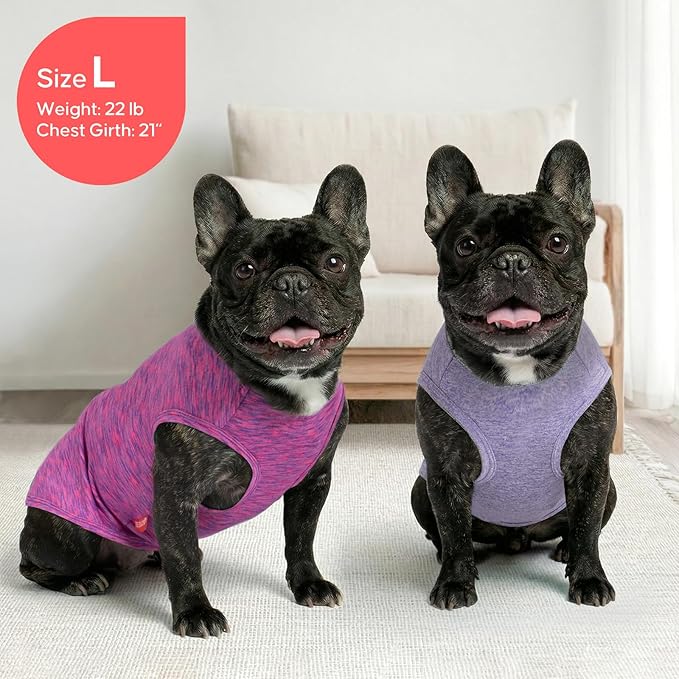 KYEESE 2 Pack Dog Shirts Quick Dry Soft Stretchy Pet T-Shirts with Reflective Label Tank Top Sleeveless Sun Protection Vest Dog Clothes for Small Medium Dogs, Medium, Purple+Pink