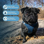 Best Pet Supplies Voyager Step-in Air All Weather Mesh Harness and Reflective Dog 5 ft Leash Combo with Neoprene Handle, for Small, Medium and Large Breed Puppies - Harness Leash Set (Blue), L