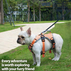 Huntboo Escape Proof Dog Harness, Escape Artist Harness, Reflective Dog Harness with Handle, Durable,Adjustable Vest for Small Medium Large Dogs Walking, Training, and Running Gear(Orange,L)