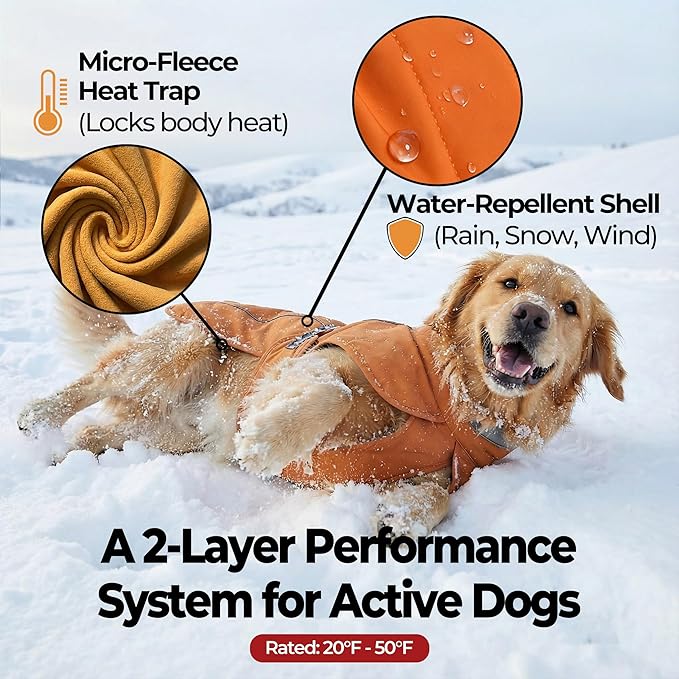 Softshell Dog Winter Vest, Fleece Lined Water-Repellent Jacket with Fur-Safe Buckle (No Hook & Loop) for Hiking, Adjustable Reflective Winter Coat for Active Dogs (Aurantium, X-Small)