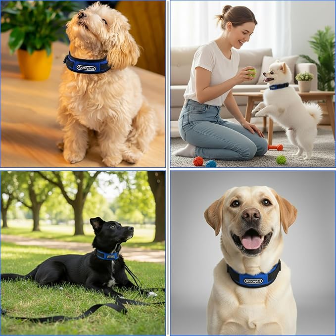 Comfort Fit Dog Collar, Anti-Choke Neck Safe Dog Training Collar, Wide Padded, Breathable, Adjustable with Dual D-Rings, Soft Cushion Neck Protector for Dogs (M, Blue)