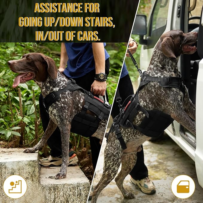 OneTigris Dog Lift Harness for Large Dogs, Dog Hip Support Brace, Full Body Lifter with Handles Invictus Multifunctional Mobility Assistance Vest for Back Legs (Black, Small)