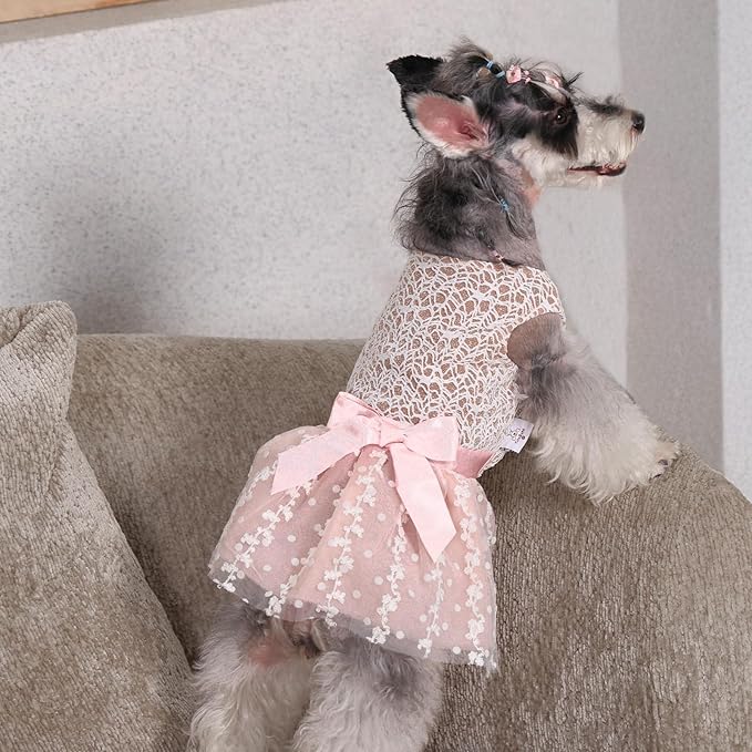 CuteBone Dog Birthday Dress Girl Puppy Skirt Tutu Cat Wedding Outfit Pet Party Clothes for Small Dogs Costume DD23M