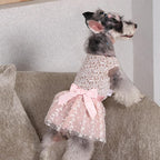 CuteBone Dog Birthday Dress Girl Puppy Skirt Tutu Cat Wedding Outfit Pet Party Clothes for Small Dogs Costume DD23L