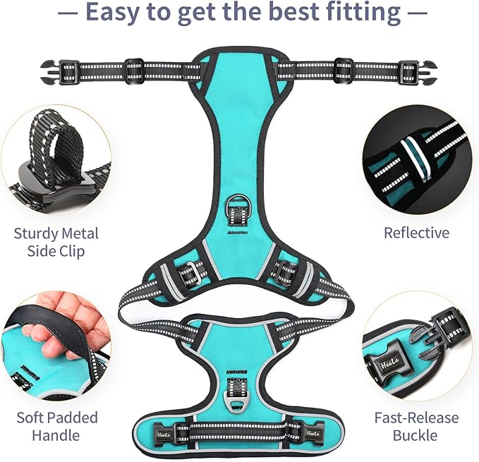 HEELE Dog Harness, No Pull Adjustable Padded Reflective Harness for Small Medium Large Dogs with Handle for Walking Training, Turquoisek, L