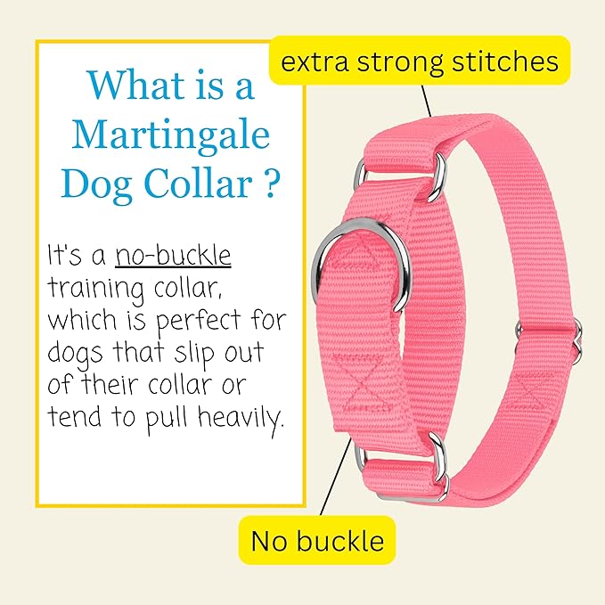 Country Brook Petz - Martingale Dog Collar - Heavy-Duty Training Collar with No Buckle - Service Dog Collar for All Pups - 10+ Warm Colors (Pink, 5/8 Inch, Extra Small)