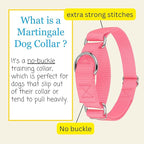Country Brook Petz - Martingale Dog Collar - Heavy-Duty Training Collar with No Buckle - Service Dog Collar for All Pups - 10+ Warm Colors (Pink, 1 Inch, Medium)