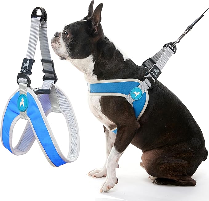 Gooby Simple Step in III Harness - Blue, Small - Small Dog Harness with Scratch Resistant Outer Vest - Soft Inner Mesh Harness for Small, Medium Dogs