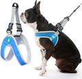 Gooby Simple Step in III Harness - Blue, Large - Small Dog Harness with Scratch Resistant Outer Vest - Soft Inner Mesh Harness for Small, Medium Dogs
