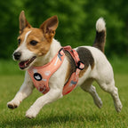 Haminway No-Pull Dog Harness for Medium Dogs – Reflective, Breathable Vest with Adjustable Chest & Neck Straps – Easy to Wear, Anti-Choke Harness for Safer Walks (Orange, Size Medium)