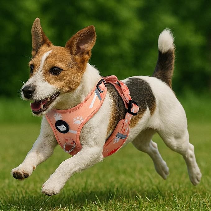 Haminway No-Pull Dog Harness for Medium Dogs – Reflective, Breathable Vest with Adjustable Chest & Neck Straps – Easy to Wear, Anti-Choke Harness for Safer Walks (Orange, Size Medium)