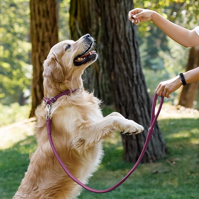 CollarDirect Rolled Leather Dog Leash 6ft, Soft Training Leather Dog Leash for Puppy and Grown Dog Small Medium Large Black Blue Red Orange Green Pink White (Pink, Size XL 6ft)