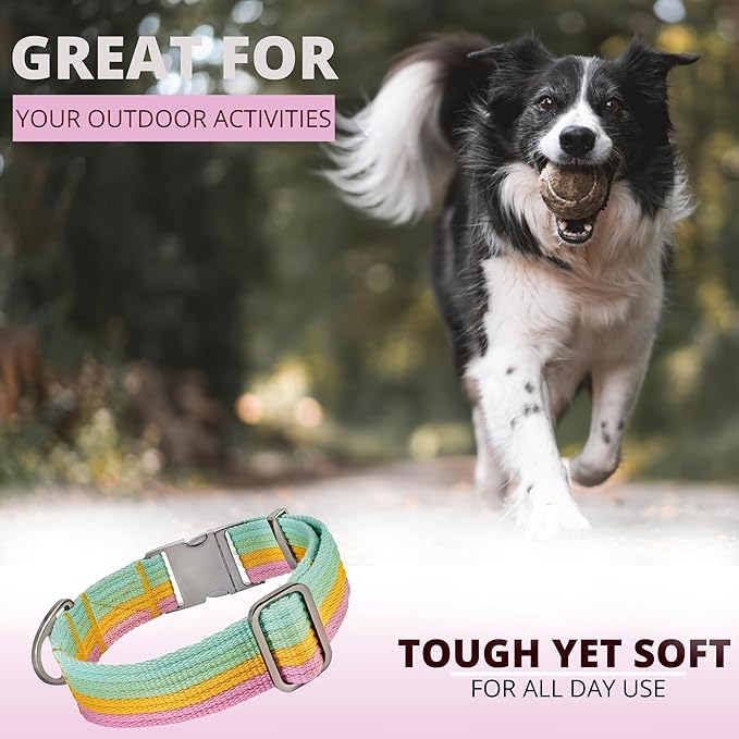 ADITYNA Cotton Dog Collar with AirTag Holder - Heavy-Duty Metal Buckle, Breathable, Easy Adjustable for Large & Extra-Large Breeds - for Walking, Training (Pastel Paradise, Fits 19-30" Necks)