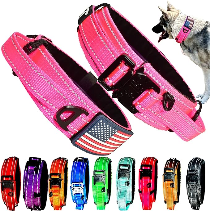 2-Inch Wide Tactical Dog Collar with Control Handle, Adjustable for Medium & Large Dogs, Military Style with Heavy-Duty Metal Buckle, USA Flag Patch & Customizable Name Plate, Training & Everyday Use