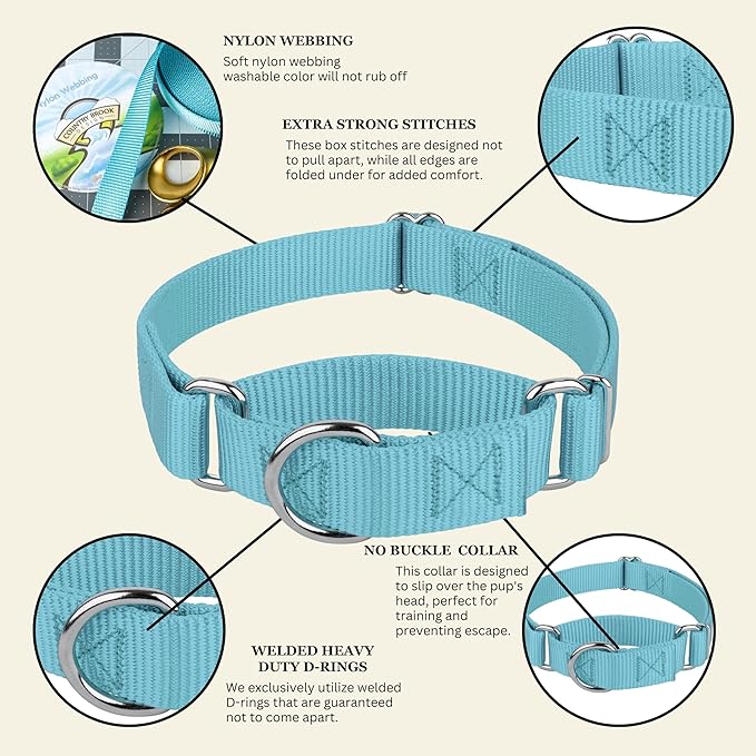 Country Brook Petz - Martingale Dog Collar - Heavy-Duty Training Collar with No Buckle - Service Dog Collar for All Pups - 10+ Cool Colors (Ocean Blue, 1 Inch, Medium)