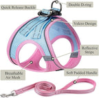 Dog Harness with Leash Set, No Pull Adjustable Reflective Step-in Puppy Pet Vest Harnesses for Small Medium Large Dogs and Cats,Pink Green XS