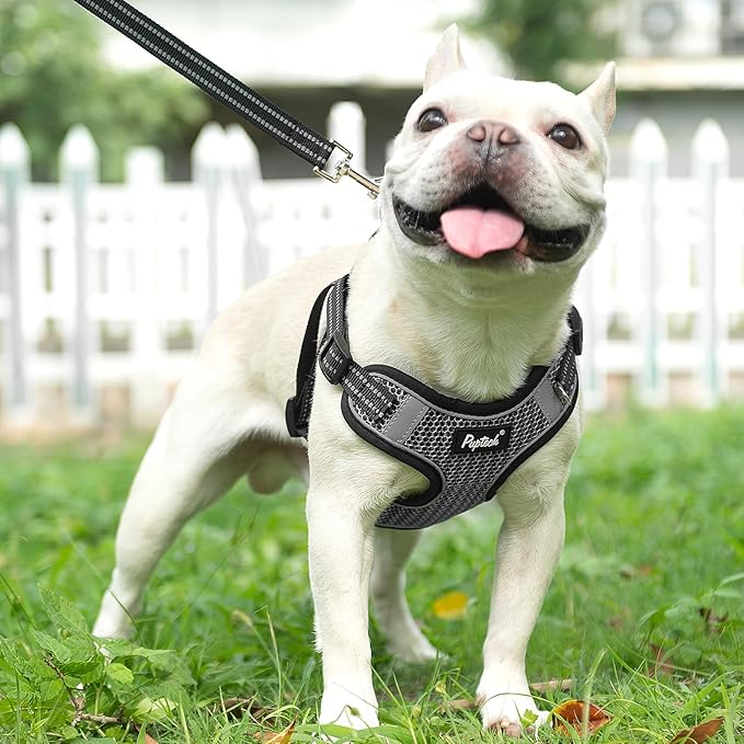 PUPTECK Dog Harness and Leash Set Medium Sized, Step in No Pull Adjustable Puppy Cat Harness Reflective Pet Vest