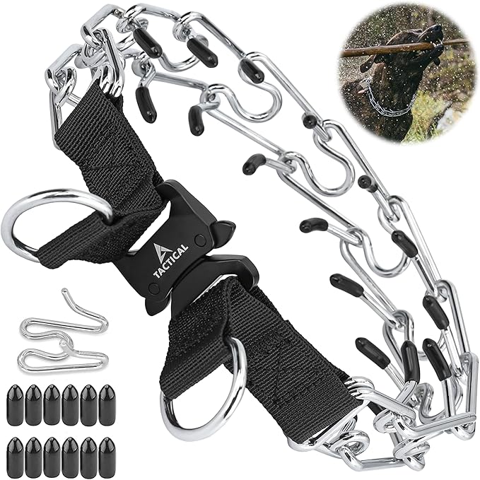 Quick Release Dog Training Collar Adjustable Stainless Steel Collar for Small Medium Large Dog (Black, M/L Neck Girth 14.5"-18.6")