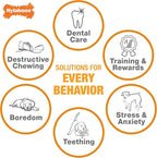 Nylabone Puppy Chew Teething Bone, Soothing Chew Toys for Teething Puppies, Puppy Enrichment, Chicken Flavor, Small Dogs - Up to 25 Ibs., 1 Count