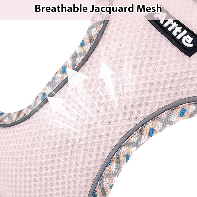 AIITLE XXS Dog Harness & Leash Set - Breathable Reflective No-Choke Small Dog Harness for Teacup Puppies, Indoor/Outdoor Use - Boston Terrier, Maltese, Chihuahua (Blue-Pink, XXS)